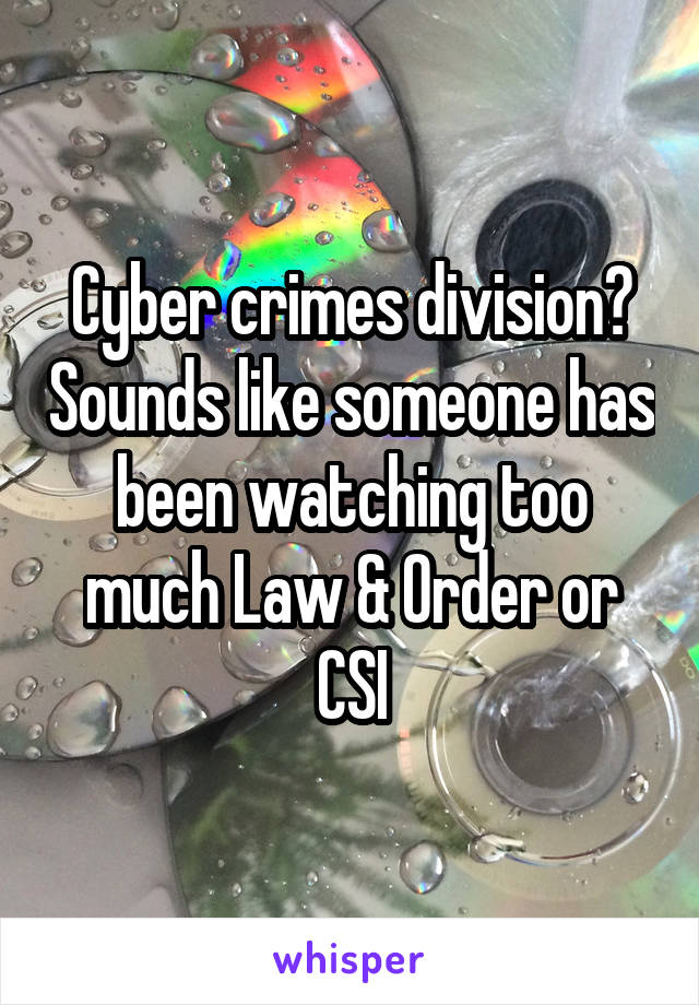 Cyber crimes division? Sounds like someone has been watching too much Law & Order or CSI