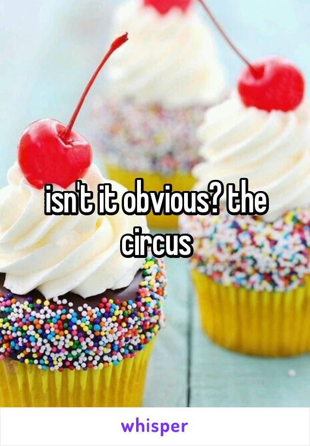 isn't it obvious? the circus