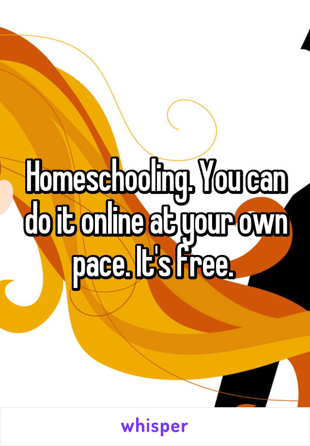 Homeschooling. You can do it online at your own pace. It's free. 