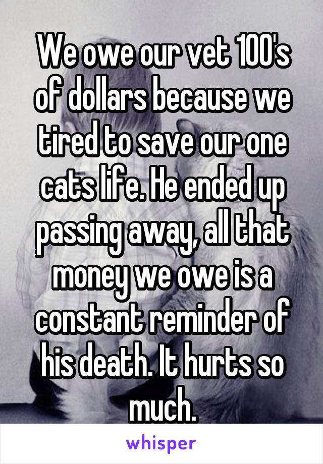 We owe our vet 100's of dollars because we tired to save our one cats life. He ended up passing away, all that money we owe is a constant reminder of his death. It hurts so much.