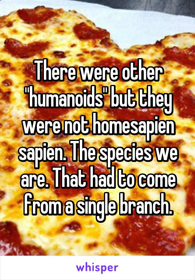 There were other "humanoids" but they were not homesapien sapien. The species we are. That had to come from a single branch.