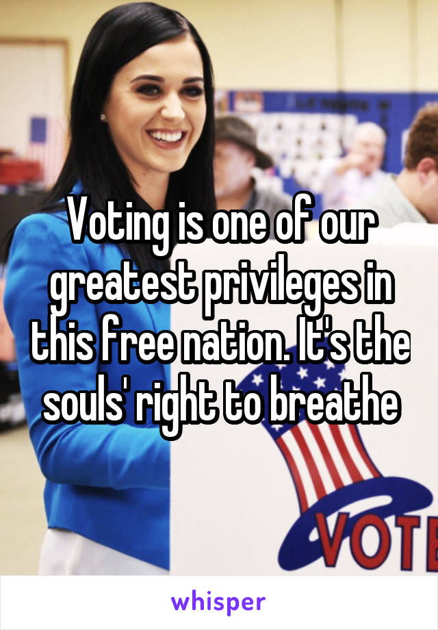 Voting is one of our greatest privileges in this free nation. It's the souls' right to breathe