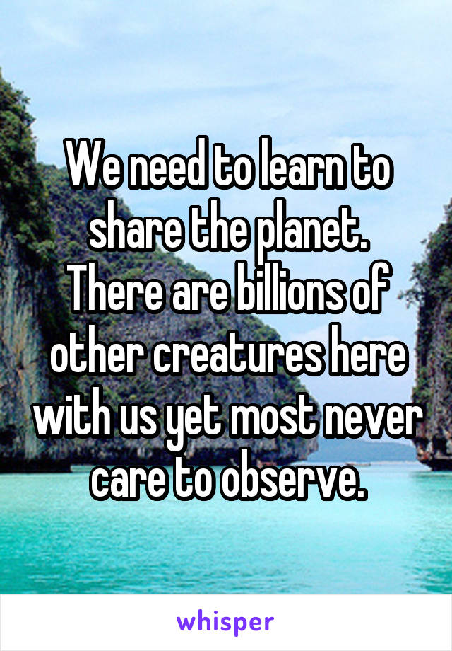 We need to learn to share the planet.
There are billions of other creatures here with us yet most never care to observe.