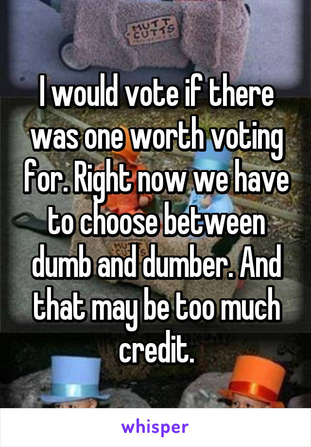 I would vote if there was one worth voting for. Right now we have to choose between dumb and dumber. And that may be too much credit.