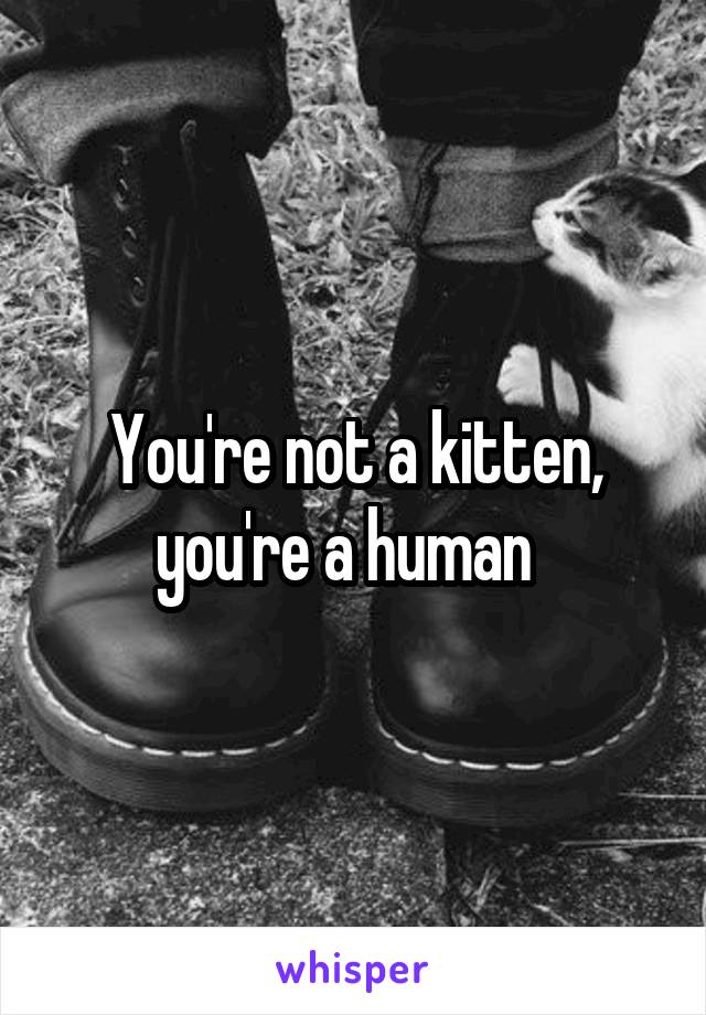 You're not a kitten, you're a human  