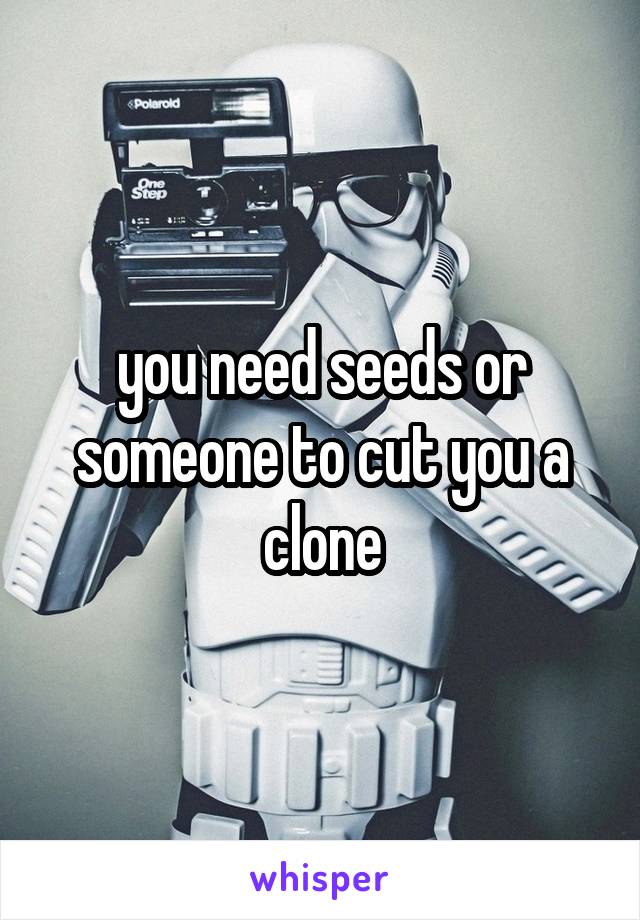 you need seeds or someone to cut you a clone