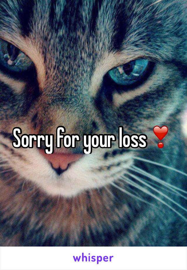 Sorry for your loss❣