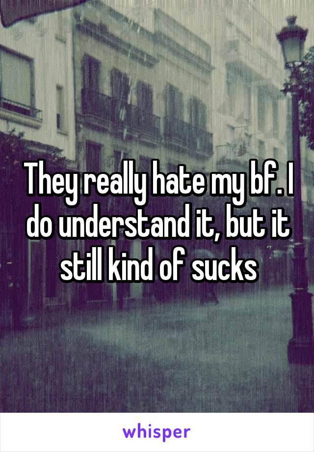 They really hate my bf. I do understand it, but it still kind of sucks
