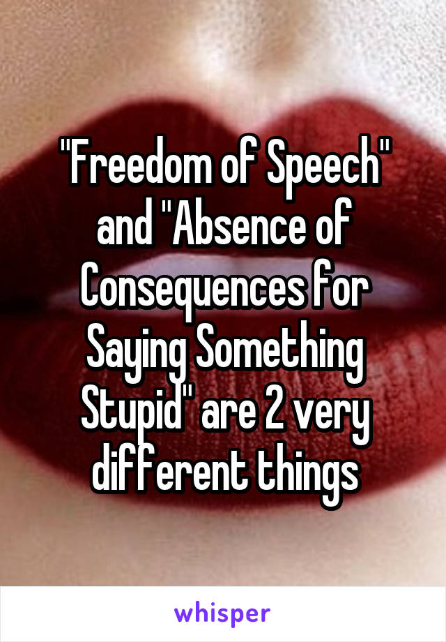 "Freedom of Speech" and "Absence of Consequences for Saying Something Stupid" are 2 very different things