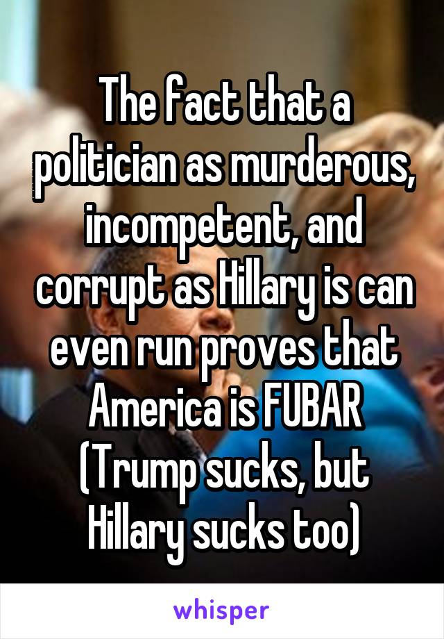 The fact that a politician as murderous, incompetent, and corrupt as Hillary is can even run proves that America is FUBAR
(Trump sucks, but Hillary sucks too)