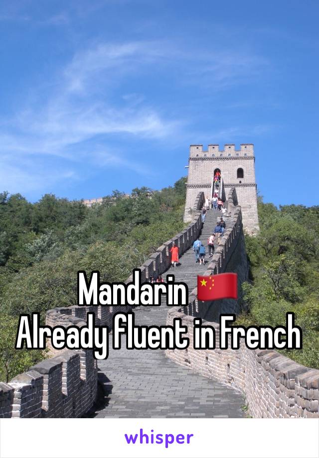 Mandarin 🇨🇳
Already fluent in French