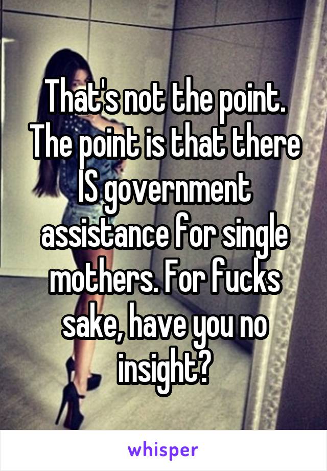 That's not the point. The point is that there IS government assistance for single mothers. For fucks sake, have you no insight?