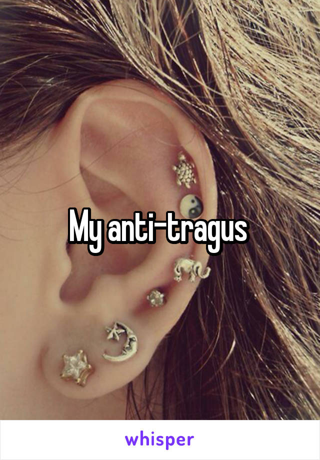 My anti-tragus 