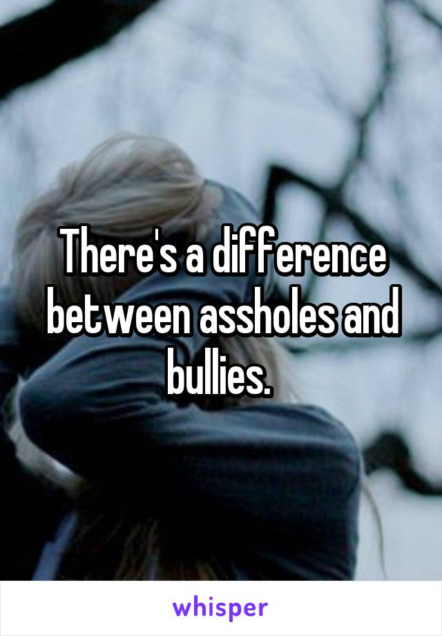 There's a difference between assholes and bullies. 