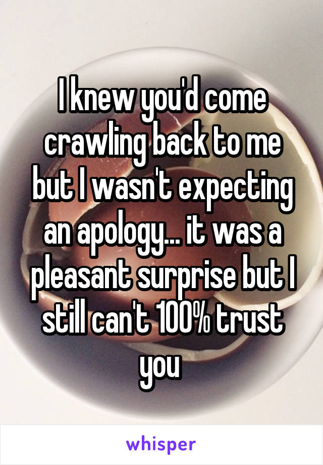 I knew you'd come crawling back to me but I wasn't expecting an apology... it was a pleasant surprise but I still can't 100% trust you 