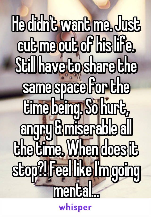 He didn't want me. Just cut me out of his life. Still have to share the same space for the time being. So hurt, angry & miserable all the time. When does it stop?! Feel like I'm going mental...