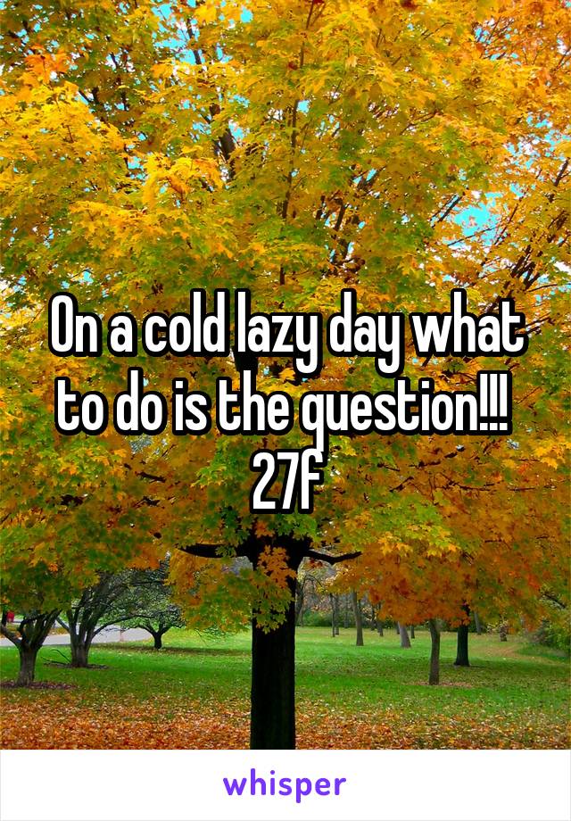 On a cold lazy day what to do is the question!!!  27f