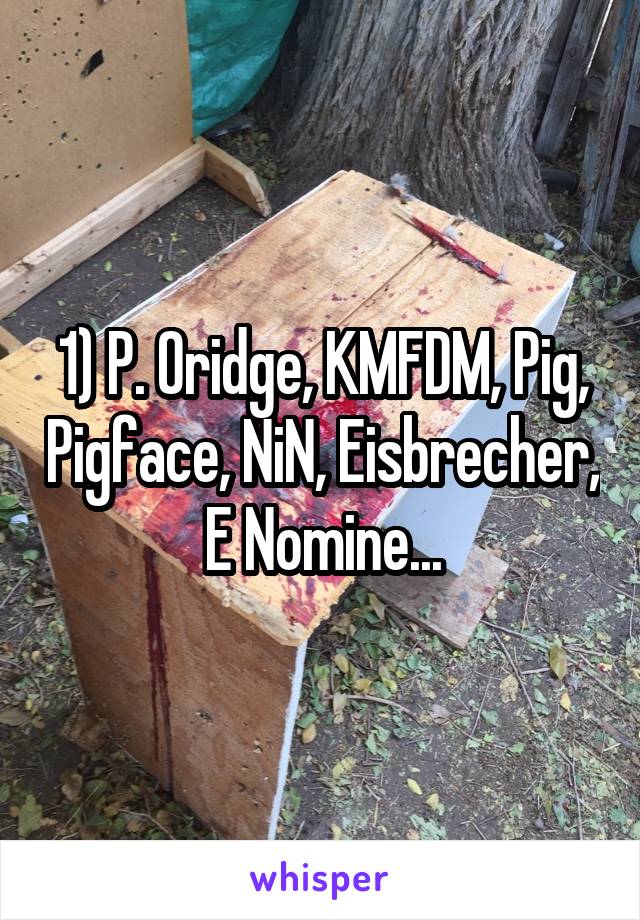 1) P. Oridge, KMFDM, Pig, Pigface, NiN, Eisbrecher, E Nomine...