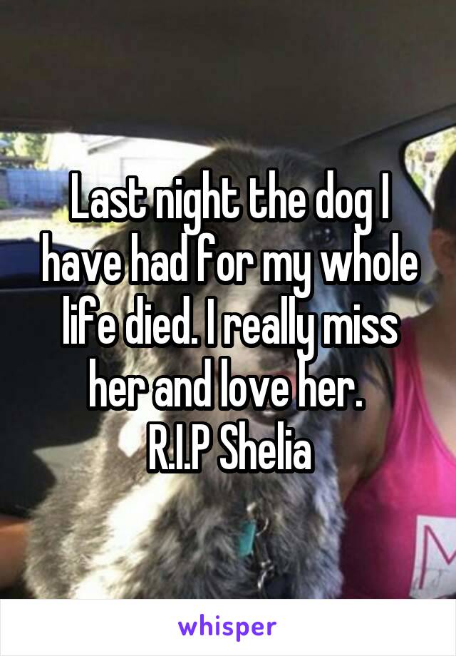 Last night the dog I have had for my whole life died. I really miss her and love her. 
R.I.P Shelia