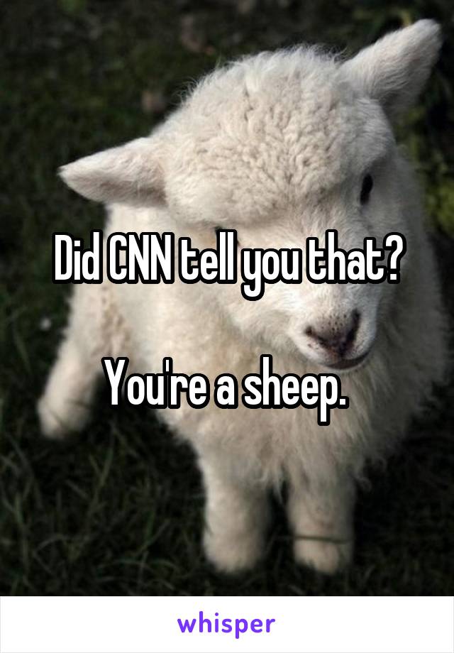Did CNN tell you that?

You're a sheep. 