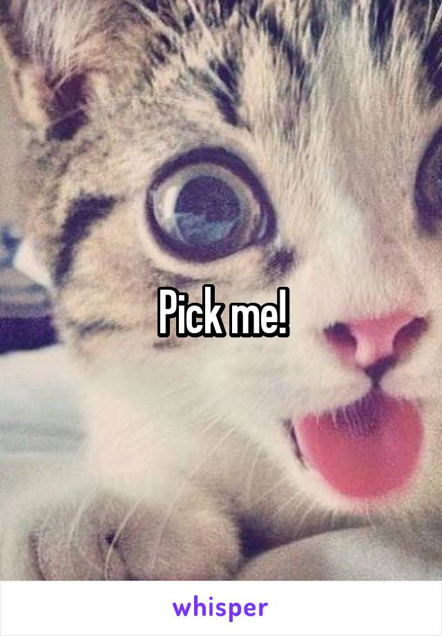 Pick me!