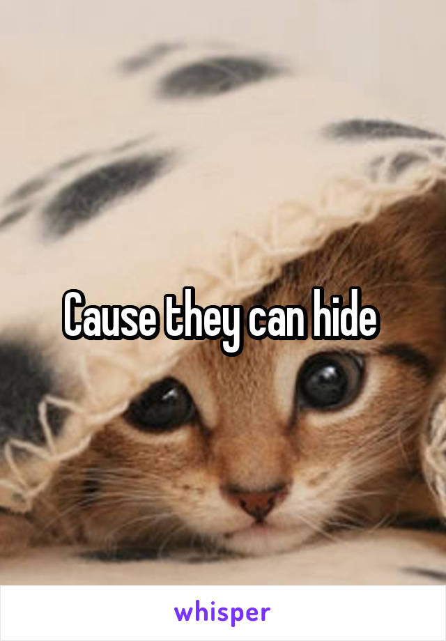 Cause they can hide 