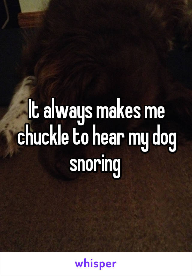 It always makes me chuckle to hear my dog snoring 