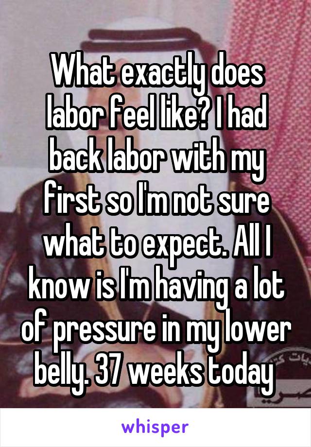 What exactly does labor feel like? I had back labor with my first so I'm not sure what to expect. All I know is I'm having a lot of pressure in my lower belly. 37 weeks today 