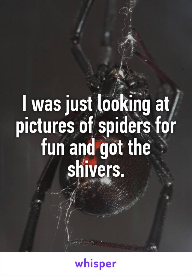 I was just looking at pictures of spiders for fun and got the shivers.