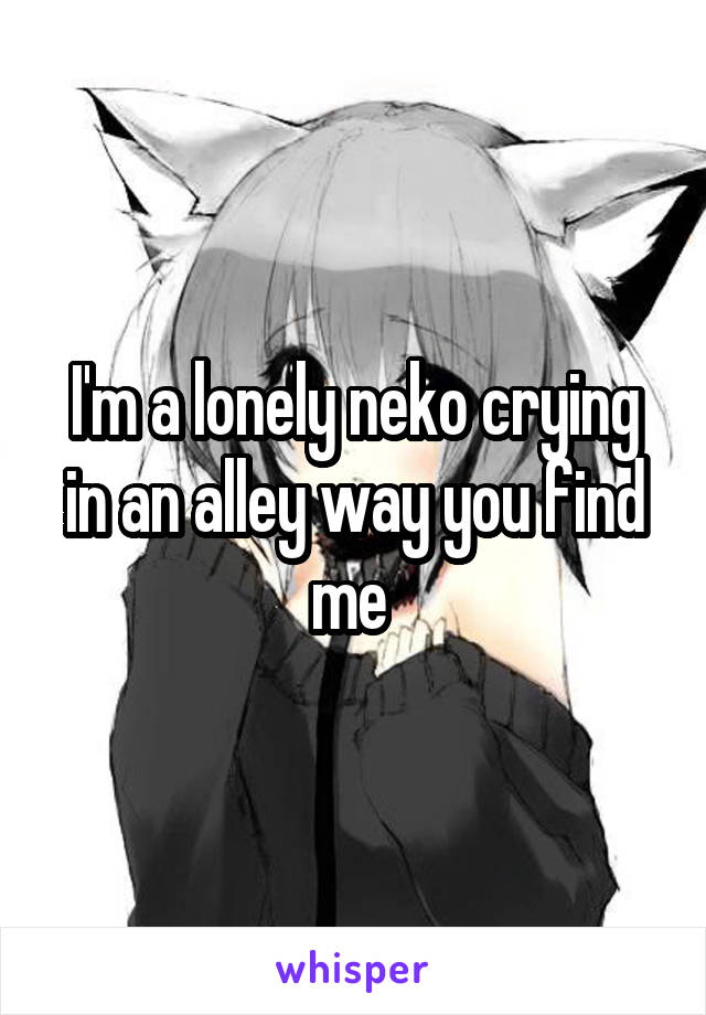 I'm a lonely neko crying in an alley way you find me 