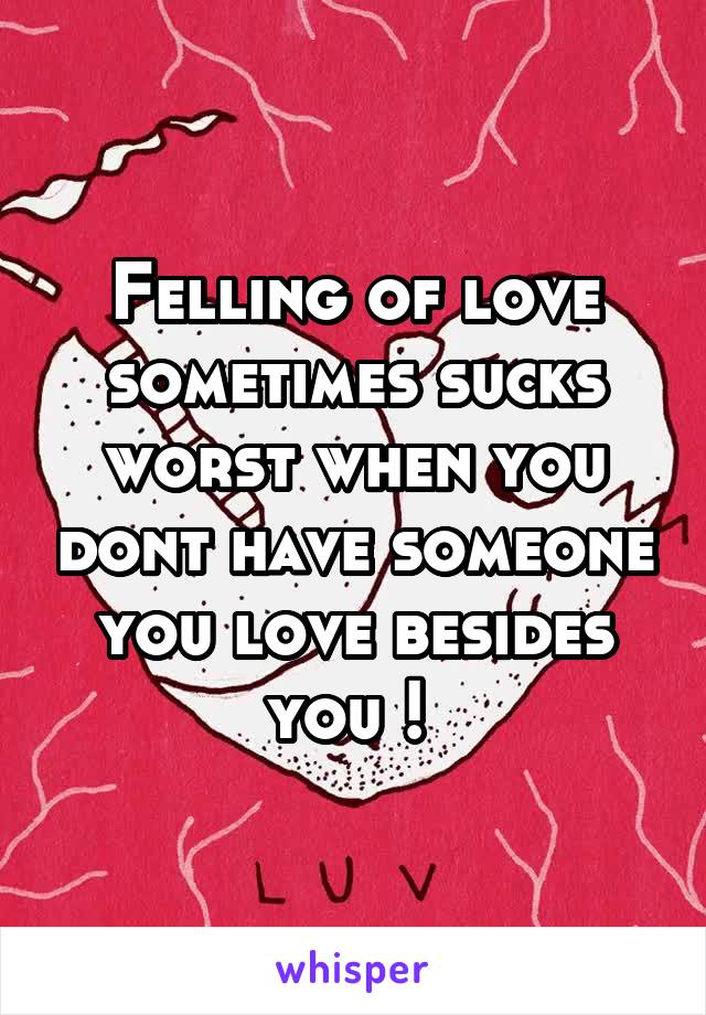 Felling of love sometimes sucks worst when you dont have someone you love besides you ! 