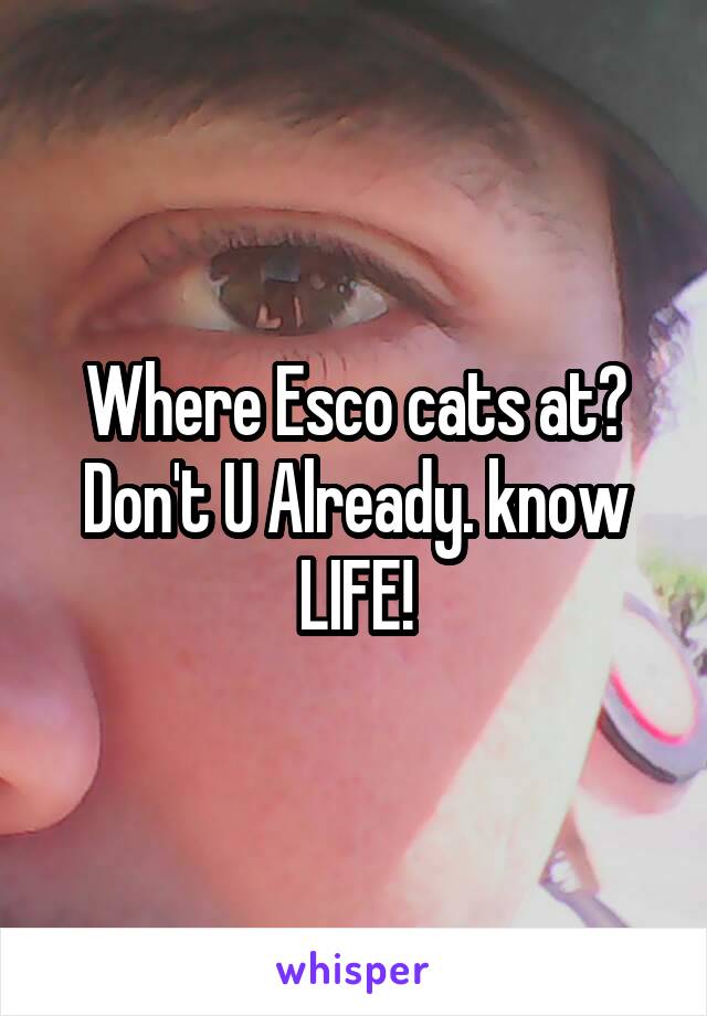 Where Esco cats at?
Don't U Already. know
LIFE!