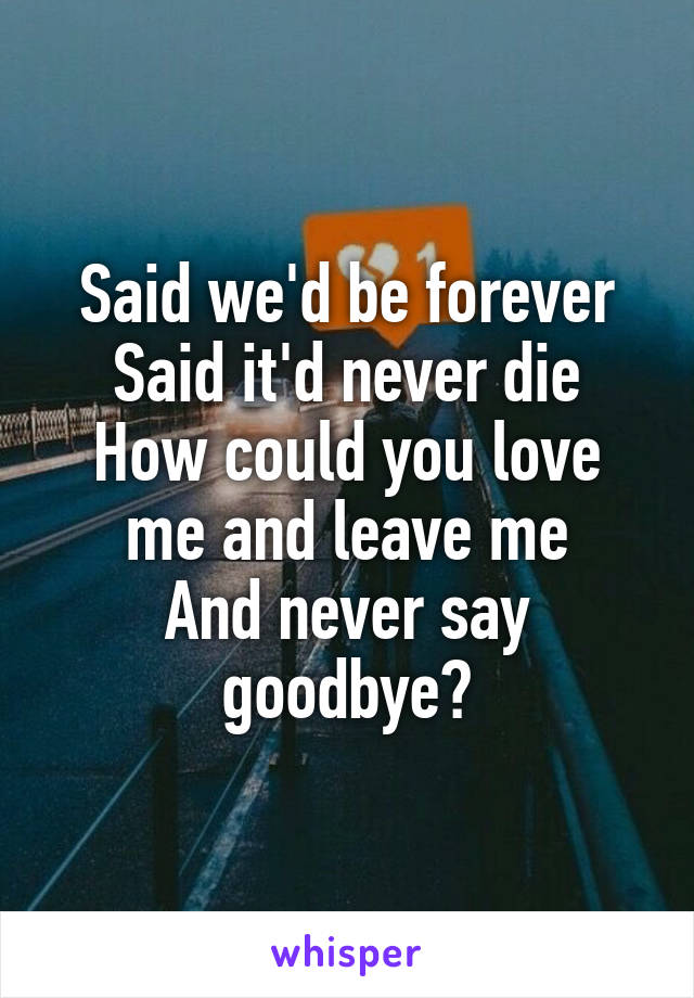 Said we'd be forever
Said it'd never die
How could you love me and leave me
And never say goodbye?