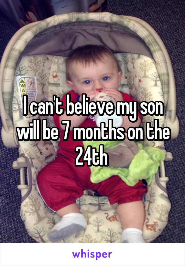 I can't believe my son will be 7 months on the 24th 