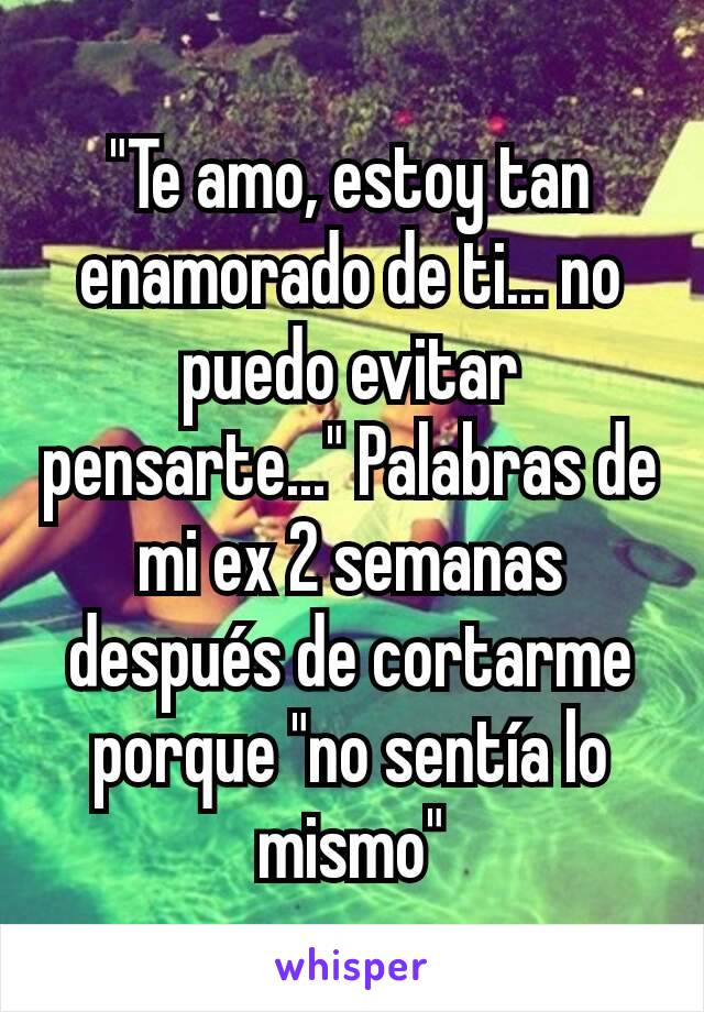 "Te amo, estoy tan enamorado de ti... no puedo evitar pensarte..." Palabras de mi ex 2 semanas después de cortarme porque "no sentía lo mismo"