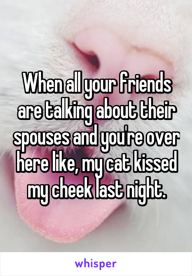 When all your friends are talking about their spouses and you're over here like, my cat kissed my cheek last night.