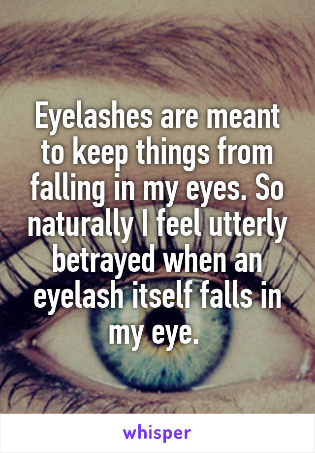 Eyelashes are meant to keep things from falling in my eyes. So naturally I feel utterly betrayed when an eyelash itself falls in my eye. 