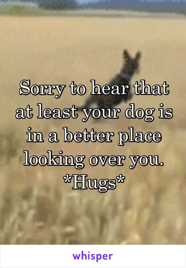 Sorry to hear that at least your dog is in a better place looking over you. *Hugs*