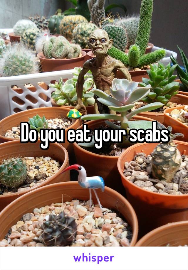 Do you eat your scabs