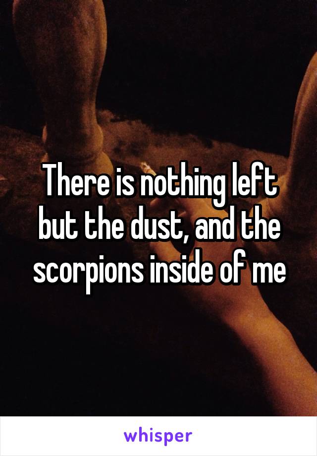 There is nothing left but the dust, and the scorpions inside of me