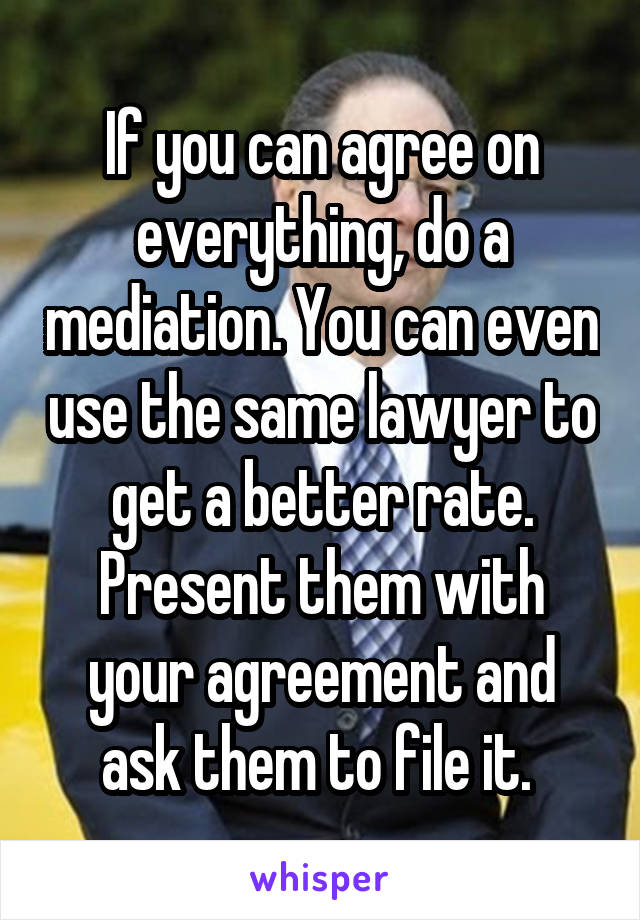 If you can agree on everything, do a mediation. You can even use the same lawyer to get a better rate. Present them with your agreement and ask them to file it. 