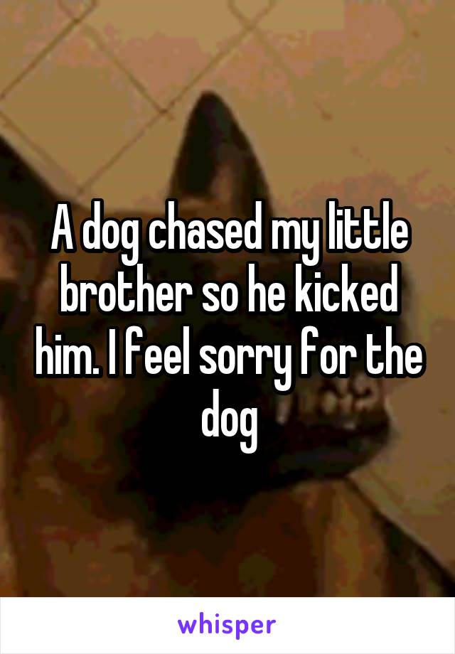 A dog chased my little brother so he kicked him. I feel sorry for the dog