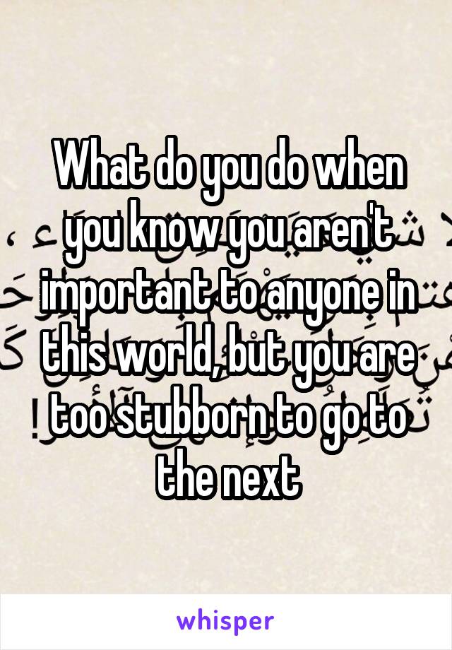 What do you do when you know you aren't important to anyone in this world, but you are too stubborn to go to the next