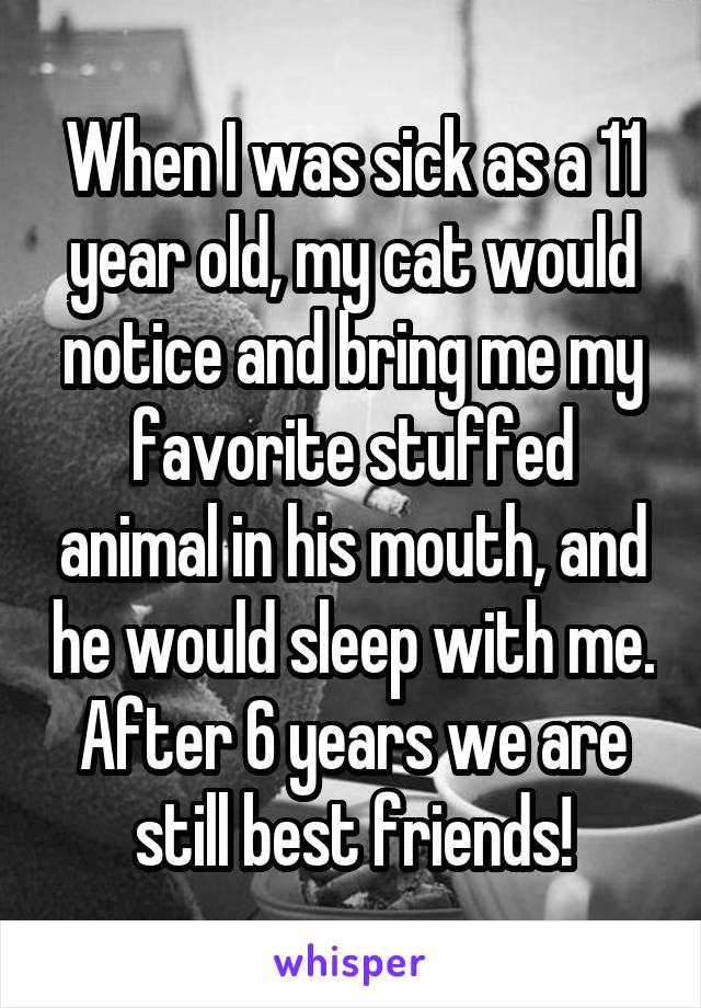 When I was sick as a 11 year old, my cat would notice and bring me my favorite stuffed animal in his mouth, and he would sleep with me. After 6 years we are still best friends!