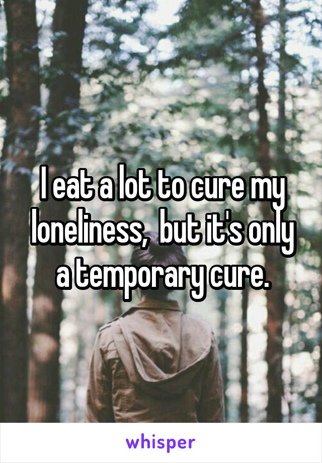 I eat a lot to cure my loneliness,  but it's only a temporary cure.