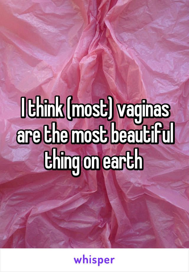 I think (most) vaginas are the most beautiful thing on earth 