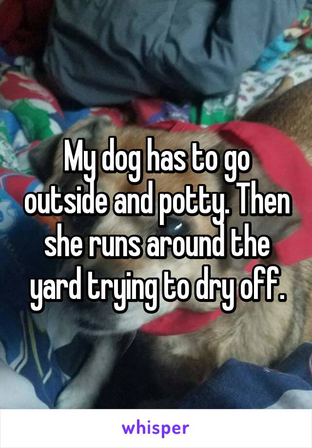 My dog has to go outside and potty. Then she runs around the yard trying to dry off.
