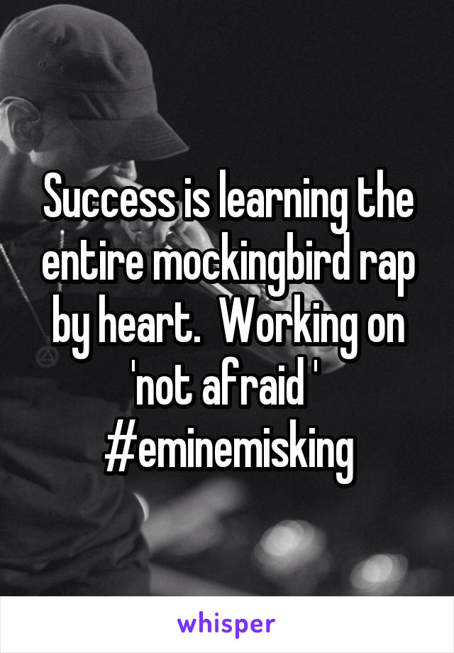 Success is learning the entire mockingbird rap by heart.  Working on 'not afraid ' 
#eminemisking