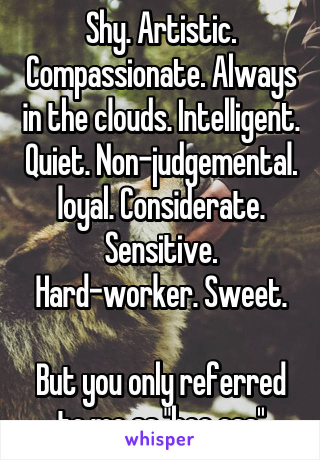 Shy. Artistic. Compassionate. Always in the clouds. Intelligent. Quiet. Non-judgemental. loyal. Considerate. Sensitive. Hard-worker. Sweet.

But you only referred to me as "hoe ass"