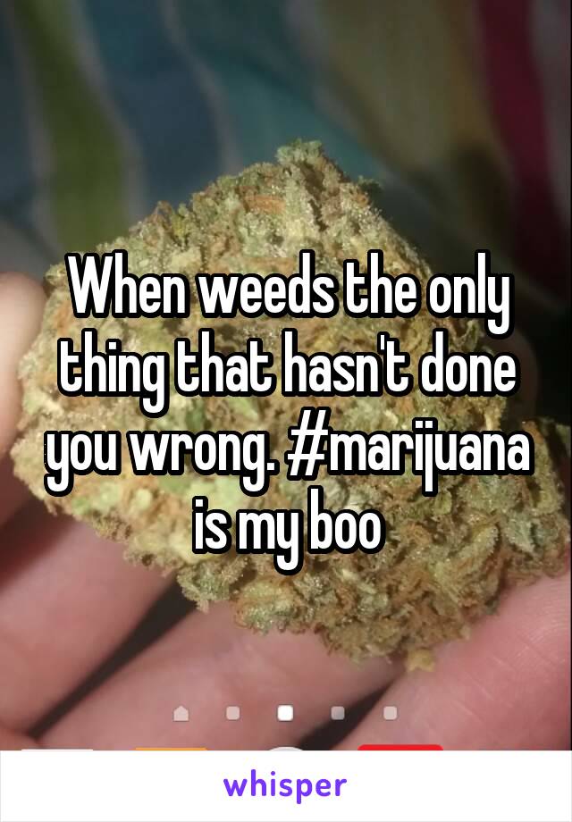 When weeds the only thing that hasn't done you wrong. #marijuana is my boo